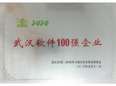 Top 100 Wuhan Software Companies